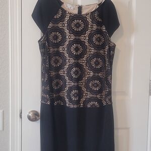 Elegant Black and Cream Lace Dress